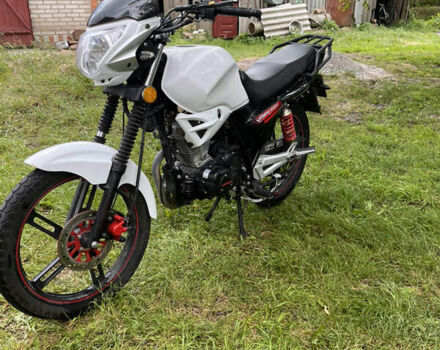 Белый Вайпер ZS 200A, объемом двигателя 0.2 л и пробегом 6 тыс. км за 831 $, фото 2 на Automoto.ua