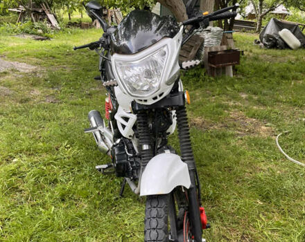 Белый Вайпер ZS 200A, объемом двигателя 0.2 л и пробегом 6 тыс. км за 831 $, фото 1 на Automoto.ua