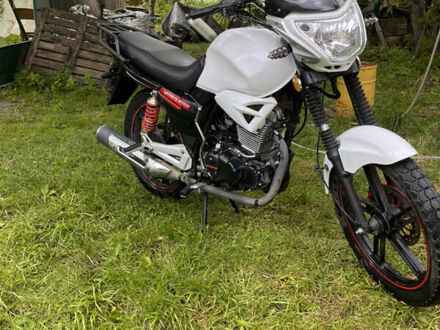 Белый Вайпер ZS 200A, объемом двигателя 0.2 л и пробегом 6 тыс. км за 831 $, фото 1 на Automoto.ua