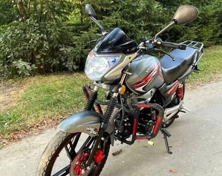 Серый Вайпер ZS 200A, объемом двигателя 0.2 л и пробегом 16 тыс. км за 750 $, фото 7 на Automoto.ua