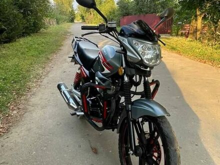 Серый Вайпер ZS 200A, объемом двигателя 0.2 л и пробегом 16 тыс. км за 750 $, фото 1 на Automoto.ua