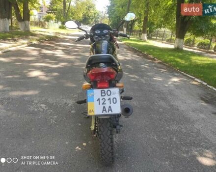 Чорний Вайпер ZS 200GY, об'ємом двигуна 0.2 л та пробігом 39 тис. км за 680 $, фото 11 на Automoto.ua