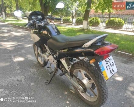 Чорний Вайпер ZS 200GY, об'ємом двигуна 0.2 л та пробігом 39 тис. км за 680 $, фото 10 на Automoto.ua