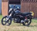 Черный Вайпер ZS 200N, объемом двигателя 0.2 л и пробегом 15 тыс. км за 424 $, фото 6 на Automoto.ua