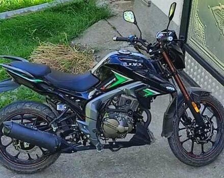 Черный Вайпер ZS 200N, объемом двигателя 0.2 л и пробегом 3 тыс. км за 1450 $, фото 3 на Automoto.ua