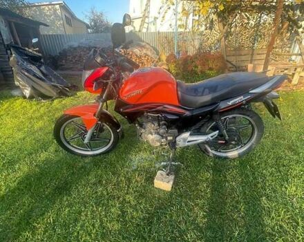 Вайпер ZS 200N 2014 в Городне на Automoto.ua Вайпер ZS 200N, объемом двигателя 0.2 л и пробегом 12 тыс. км за 592 $, фото 9 на Automoto.ua