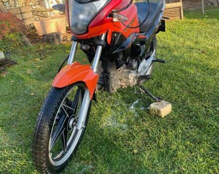 Вайпер ZS 200N 2014 в Городне на Automoto.ua Вайпер ZS 200N, объемом двигателя 0.2 л и пробегом 12 тыс. км за 592 $, фото 11 на Automoto.ua