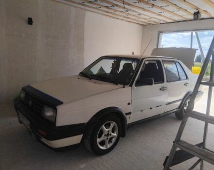 Фольксваген 1600 1989 в Борисполе на Automoto.ua Белый Фольксваген 1600, объемом двигателя 1.6 л и пробегом 437 тыс. км за 700 $, фото 2 на Automoto.ua