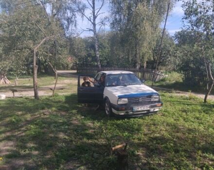 Фольксваген 1600 1989 в Борисполе на Automoto.ua Белый Фольксваген 1600, объемом двигателя 1.6 л и пробегом 437 тыс. км за 700 $, фото 1 на Automoto.ua