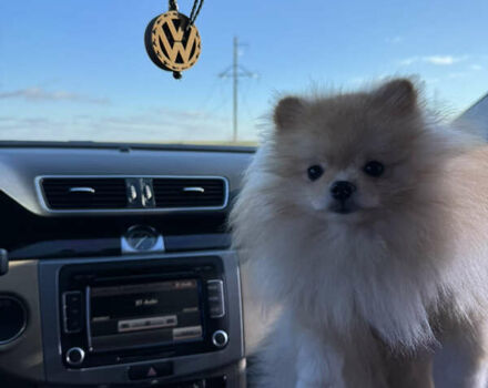 Черный Фольксваген CC / Passat CC, объемом двигателя 3.6 л и пробегом 188 тыс. км за 12500 $, фото 8 на Automoto.ua