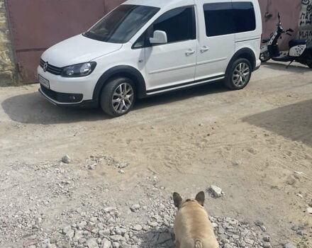 Белый Фольксваген Кадди, объемом двигателя 1.6 л и пробегом 348 тыс. км за 13700 $, фото 21 на Automoto.ua