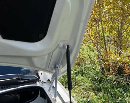 Белый Фольксваген Кадди, объемом двигателя 1.97 л и пробегом 185 тыс. км за 18700 $, фото 69 на Automoto.ua