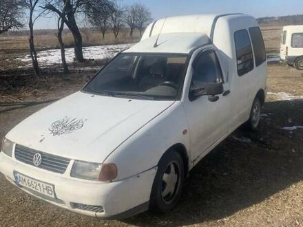 Фольксваген Кадді 1998 у Житомирі на Automoto.ua Білий Фольксваген Кадді, об'ємом двигуна 1.9 л та пробігом 300 тис. км за 1650 $, фото 1 на Automoto.ua