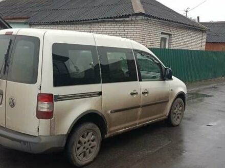 Белый Фольксваген Кадди, объемом двигателя 2 л и пробегом 260 тыс. км за 5299 $, фото 1 на Automoto.ua