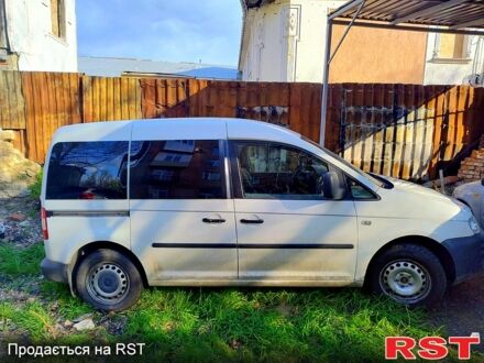 Фольксваген Кадді 2005 у Миколаєві на Automoto.ua Білий Фольксваген Кадді, об'ємом двигуна 20 л та пробігом 230 тис. км за 4200 $, фото 1 на Automoto.ua