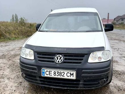 Фольксваген Кадді 2006 у Сторожинце на Automoto.ua Білий Фольксваген Кадді, об'ємом двигуна 1.97 л та пробігом 343 тис. км за 5000 $, фото 1 на Automoto.ua