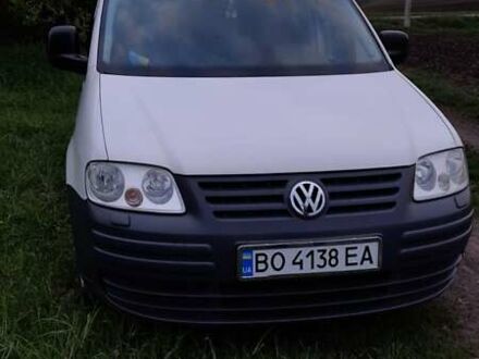 Фольксваген Кадді 2007 у Козовой на Automoto.ua Білий Фольксваген Кадді, об'ємом двигуна 1.9 л та пробігом 277 тис. км за 5800 $, фото 1 на Automoto.ua