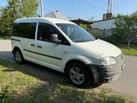 Фольксваген Кадді 2008 у Золотоноше на Automoto.ua Білий Фольксваген Кадді, об'ємом двигуна 1.9 л та пробігом 227 тис. км за 5700 $, фото 1 на Automoto.ua