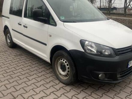 Фольксваген Кадди 2014 в Миргороде на Automoto.ua Белый Фольксваген Кадди, объемом двигателя 1.6 л и пробегом 250 тыс. км за 6200 $, фото 1 на Automoto.ua