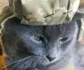 Чорний Фольксваген Кадді, об'ємом двигуна 1.4 л та пробігом 250 тис. км за 3650 $, фото 8 на Automoto.ua