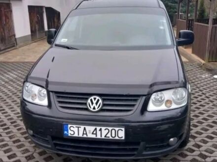Фольксваген Кадді 2009 у Києві на Automoto.ua Чорний Фольксваген Кадді, об'ємом двигуна 1.9 л та пробігом 175 тис. км за 2898 $, фото 1 на Automoto.ua