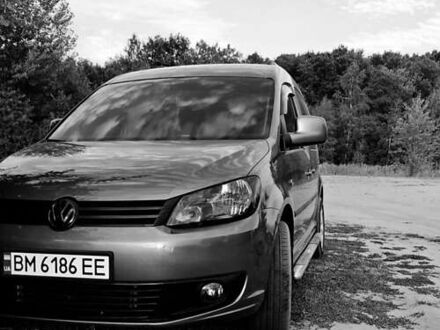 Фольксваген Кадди 2013 в Сумах на Automoto.ua Серый Фольксваген Кадди, объемом двигателя 1.6 л и пробегом 125 тыс. км за 13500 $, фото 1 на Automoto.ua