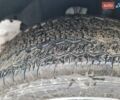 Белый Фольксваген Крафтер, объемом двигателя 2 л и пробегом 247 тыс. км за 18950 $, фото 3 на Automoto.ua
