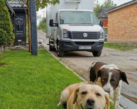 Фольксваген Крафтер 2013 в Виннице на Automoto.ua Белый Фольксваген Крафтер, объемом двигателя 1.97 л и пробегом 192 тыс. км за 18200 $, фото 7 на Automoto.ua