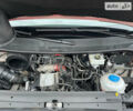 Червоний Фольксваген Крафтєр, об'ємом двигуна 2 л та пробігом 260 тис. км за 26000 $, фото 2 на Automoto.ua