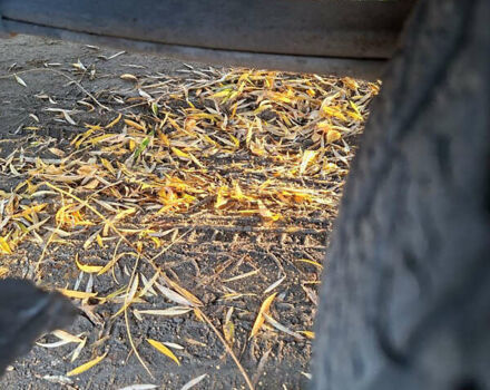 Фольксваген Крафтер, объемом двигателя 0 л и пробегом 487 тыс. км за 7000 $, фото 8 на Automoto.ua