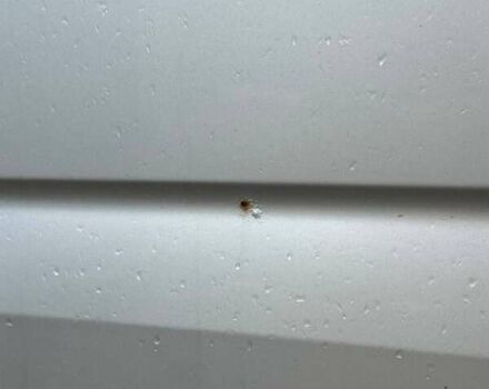 Сірий Фольксваген Крафтєр, об'ємом двигуна 1.97 л та пробігом 240 тис. км за 25000 $, фото 17 на Automoto.ua