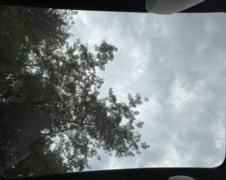 Серый Фольксваген Другая, объемом двигателя 0 л и пробегом 24 тыс. км за 8300 $, фото 10 на Automoto.ua