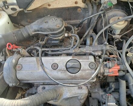 Фольксваген Гольф Плюс 1995 в Трускавце на Automoto.ua Белый Фольксваген Гольф Плюс, объемом двигателя 1.6 л и пробегом 2 тыс. км за 1750 $, фото 4 на Automoto.ua