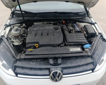 Білий Фольксваген Гольф, об'ємом двигуна 1.6 л та пробігом 318 тис. км за 9300 $, фото 5 на Automoto.ua