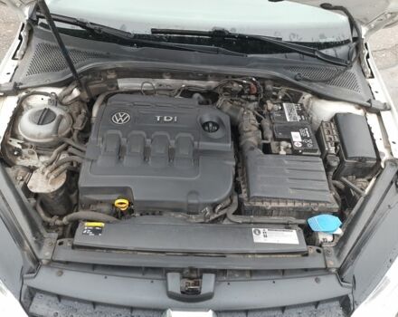 Білий Фольксваген Гольф, об'ємом двигуна 1.6 л та пробігом 244 тис. км за 8500 $, фото 18 на Automoto.ua