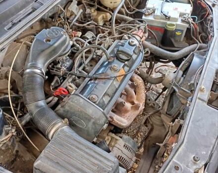Фольксваген Гольф 1993 в Зборов на Automoto.ua Черный Фольксваген Гольф, объемом двигателя 1.6 л и пробегом 288 тыс. км за 1800 $, фото 10 на Automoto.ua