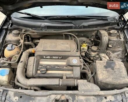 Фольксваген Гольф 1999 в Лохвице на Automoto.ua Черный Фольксваген Гольф, объемом двигателя 1.39 л и пробегом 244 тыс. км за 3200 $, фото 13 на Automoto.ua