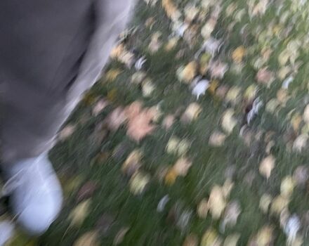 Чорний Фольксваген Гольф, об'ємом двигуна 2 л та пробігом 252 тис. км за 6500 $, фото 6 на Automoto.ua