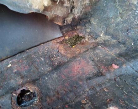 Фольксваген Гольф 1994 у Вышгороде на Automoto.ua Червоний Фольксваген Гольф, об'ємом двигуна 0 л та пробігом 100 тис. км за 642 $, фото 7 на Automoto.ua