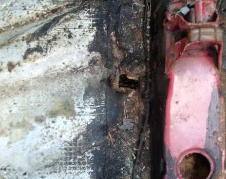 Фольксваген Гольф 1994 у Вышгороде на Automoto.ua Червоний Фольксваген Гольф, об'ємом двигуна 0 л та пробігом 100 тис. км за 642 $, фото 12 на Automoto.ua