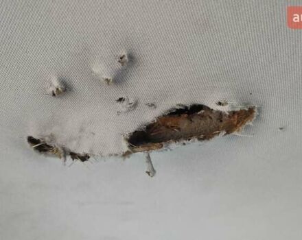 Красный Фольксваген Гольф, объемом двигателя 1.6 л и пробегом 390 тыс. км за 4600 $, фото 10 на Automoto.ua