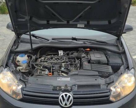 Фольксваген Гольф, объемом двигателя 1.6 л и пробегом 238 тыс. км за 8300 $, фото 1 на Automoto.ua