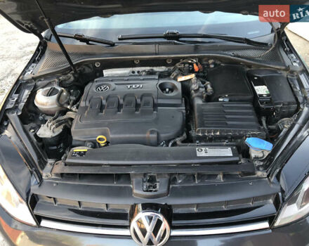 Фольксваген Гольф, объемом двигателя 1.6 л и пробегом 242 тыс. км за 8600 $, фото 39 на Automoto.ua