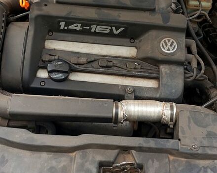 Серый Фольксваген Гольф, объемом двигателя 1.4 л и пробегом 204 тыс. км за 3500 $, фото 1 на Automoto.ua