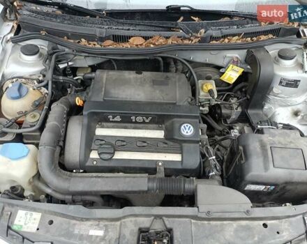 Серый Фольксваген Гольф, объемом двигателя 1.39 л и пробегом 235 тыс. км за 4000 $, фото 11 на Automoto.ua
