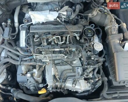 Сірий Фольксваген Гольф, об'ємом двигуна 1.6 л та пробігом 262 тис. км за 10500 $, фото 180 на Automoto.ua