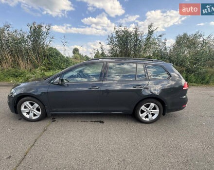 Сірий Фольксваген Гольф, об'ємом двигуна 1.6 л та пробігом 241 тис. км за 11700 $, фото 2 на Automoto.ua