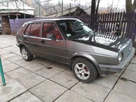 Фольксваген Гольф 1986 в Береговом на Automoto.ua Серый Фольксваген Гольф, объемом двигателя 1.6 л и пробегом 480 тыс. км за 1490 $, фото 1 на Automoto.ua