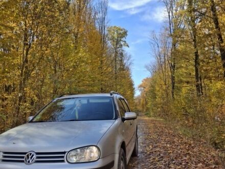 Серый Фольксваген Гольф, объемом двигателя 1.6 л и пробегом 247 тыс. км за 3800 $, фото 1 на Automoto.ua