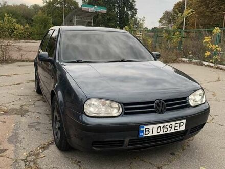 Фольксваген Гольф 2003 в Полтаве на Automoto.ua Серый Фольксваген Гольф, объемом двигателя 1.39 л и пробегом 259 тыс. км за 5100 $, фото 1 на Automoto.ua